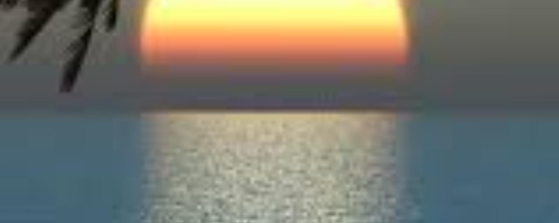 rexdavies803 banner image