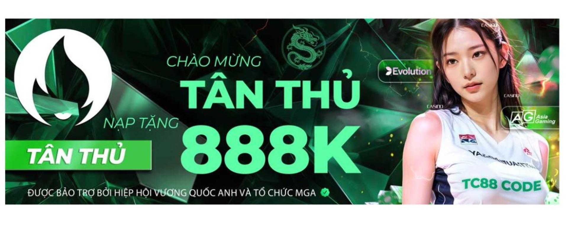 tc88itcom banner image