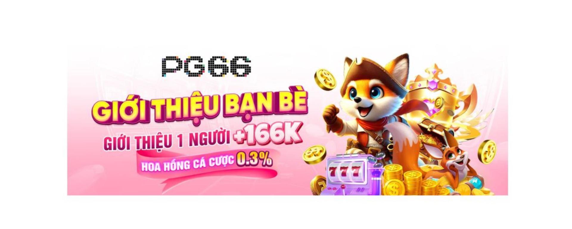nhacaipg66in banner image