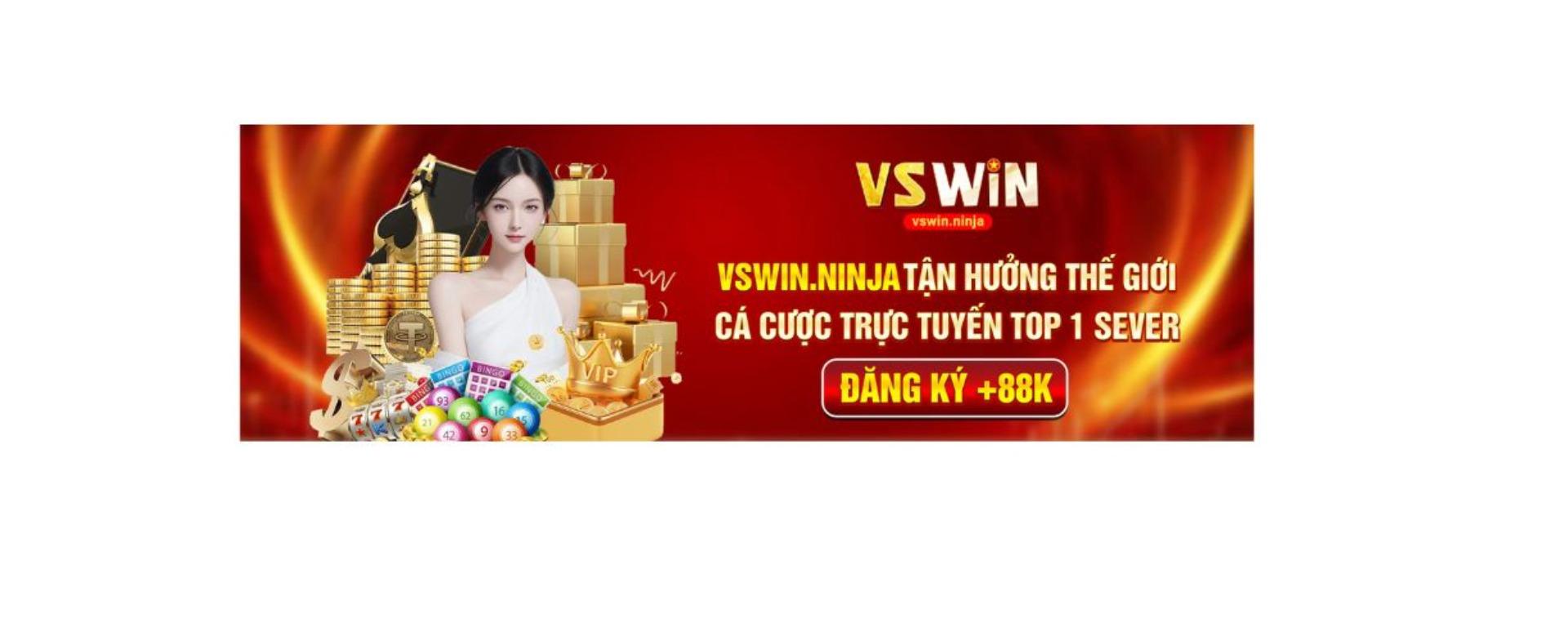 vswinninja banner image