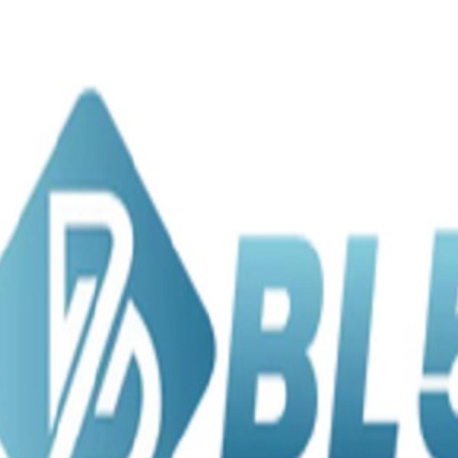 bl555cheap