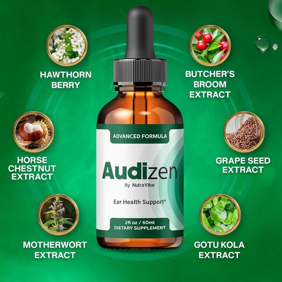 audizenreview