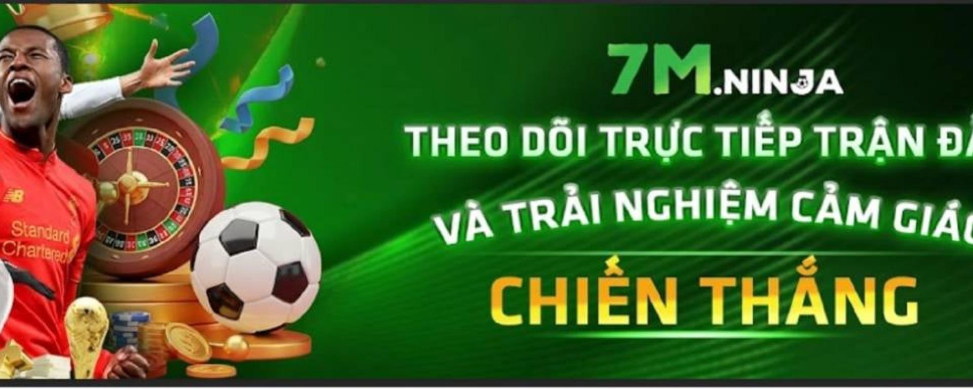 7mninja banner image