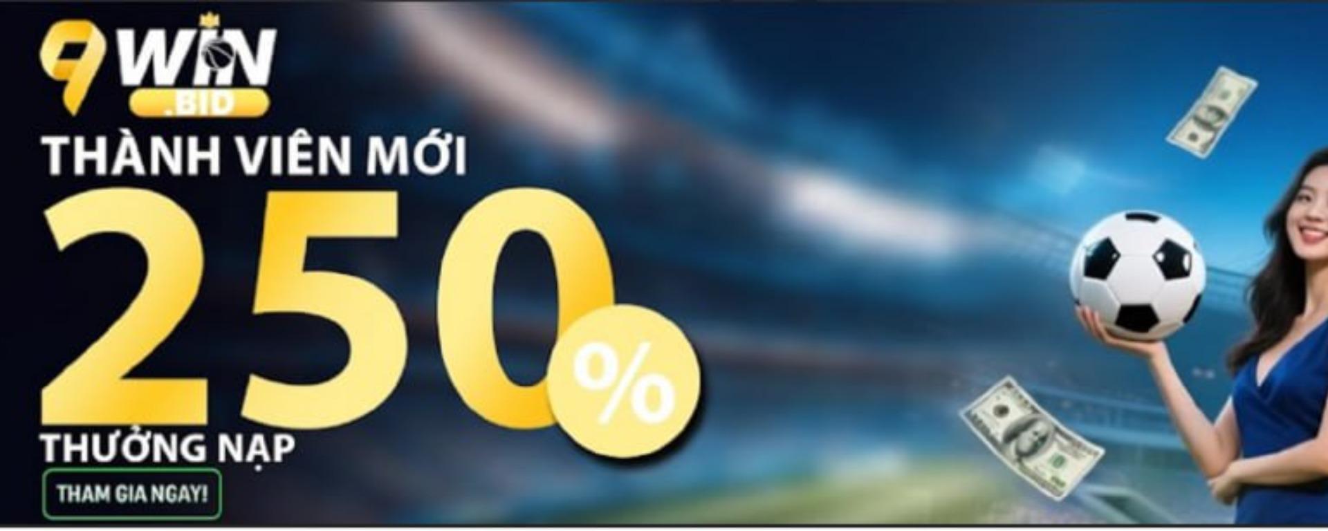 9winbid banner image