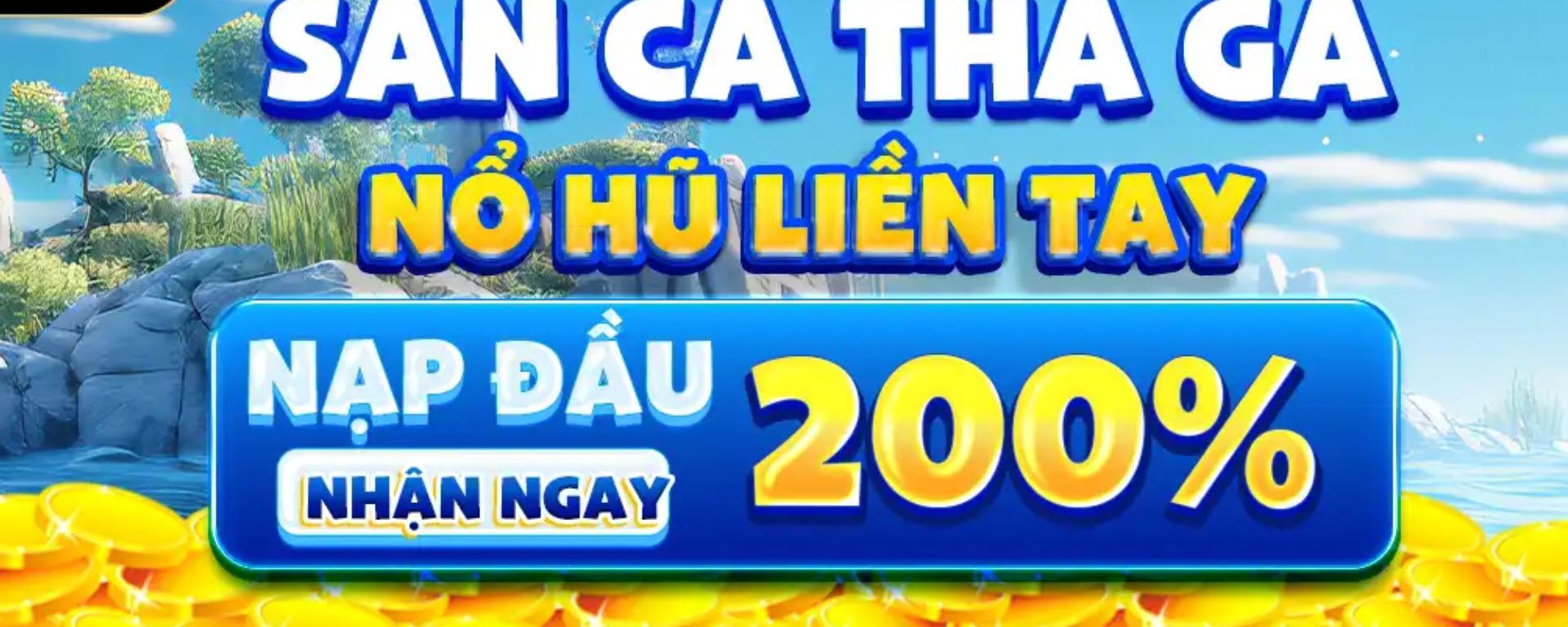 6623webnet banner image