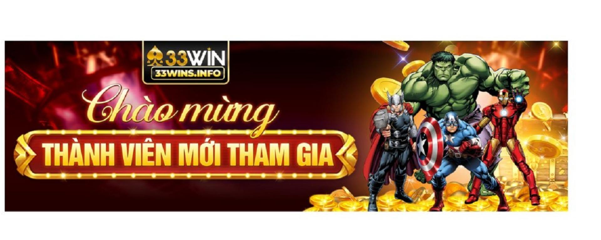 33winsinfo banner image