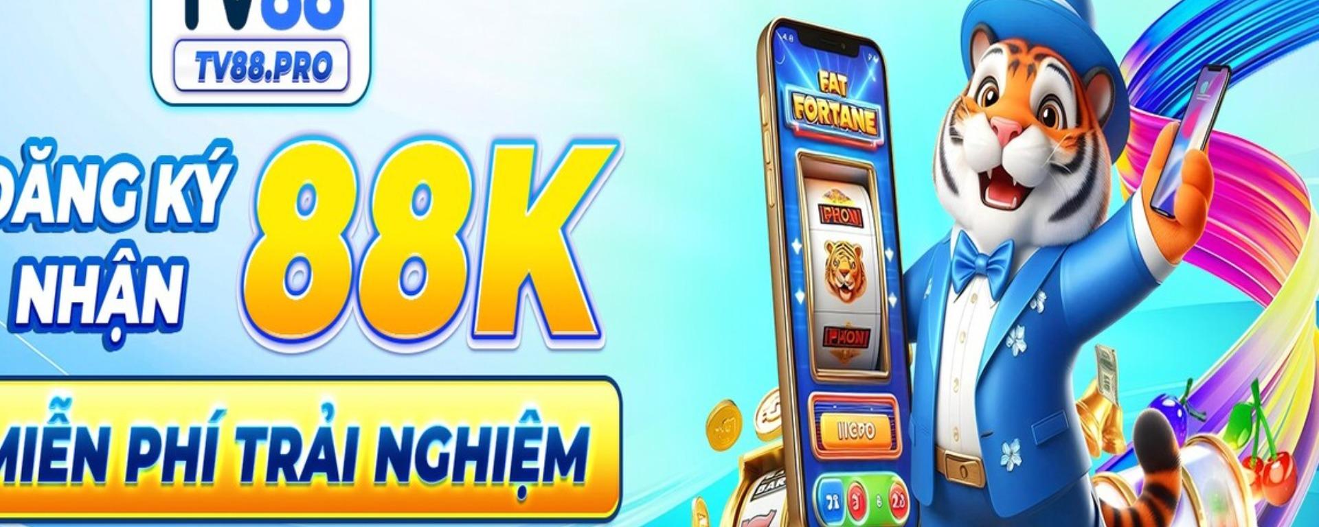 tv88pro banner image