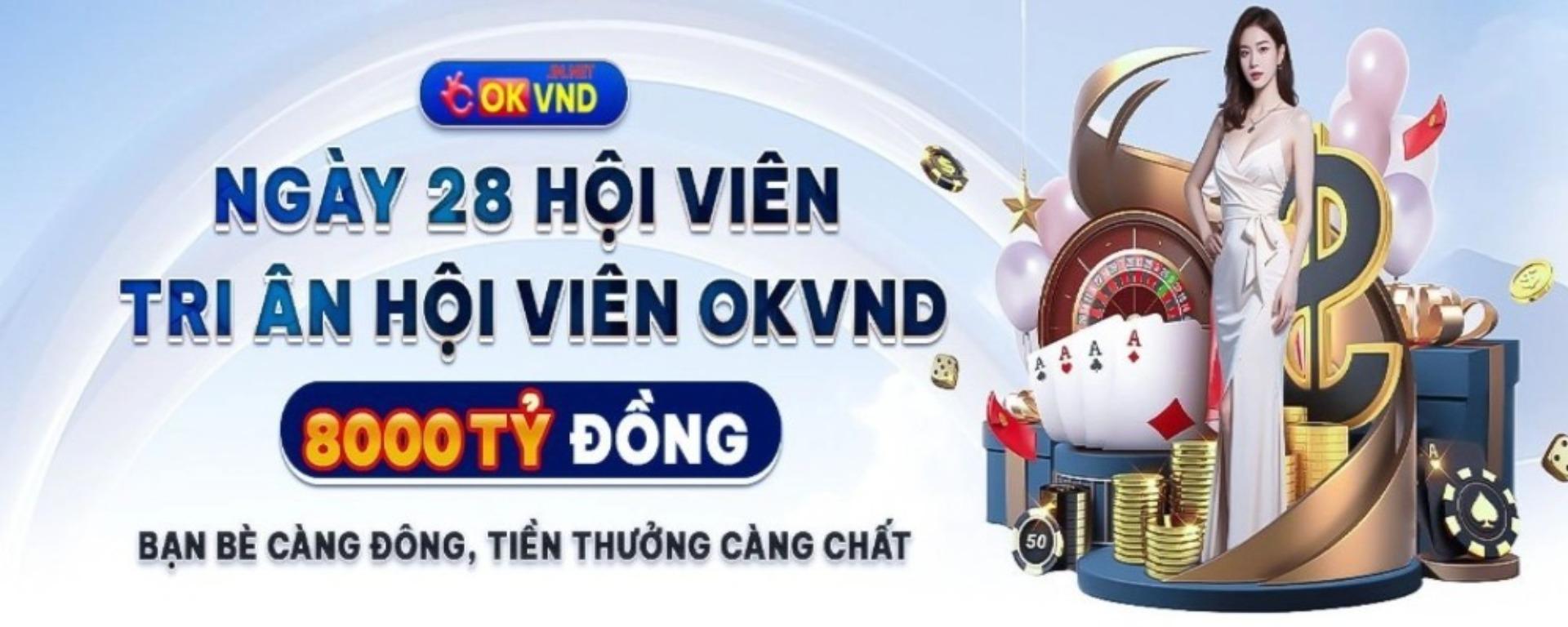 okvndinnet1 banner image