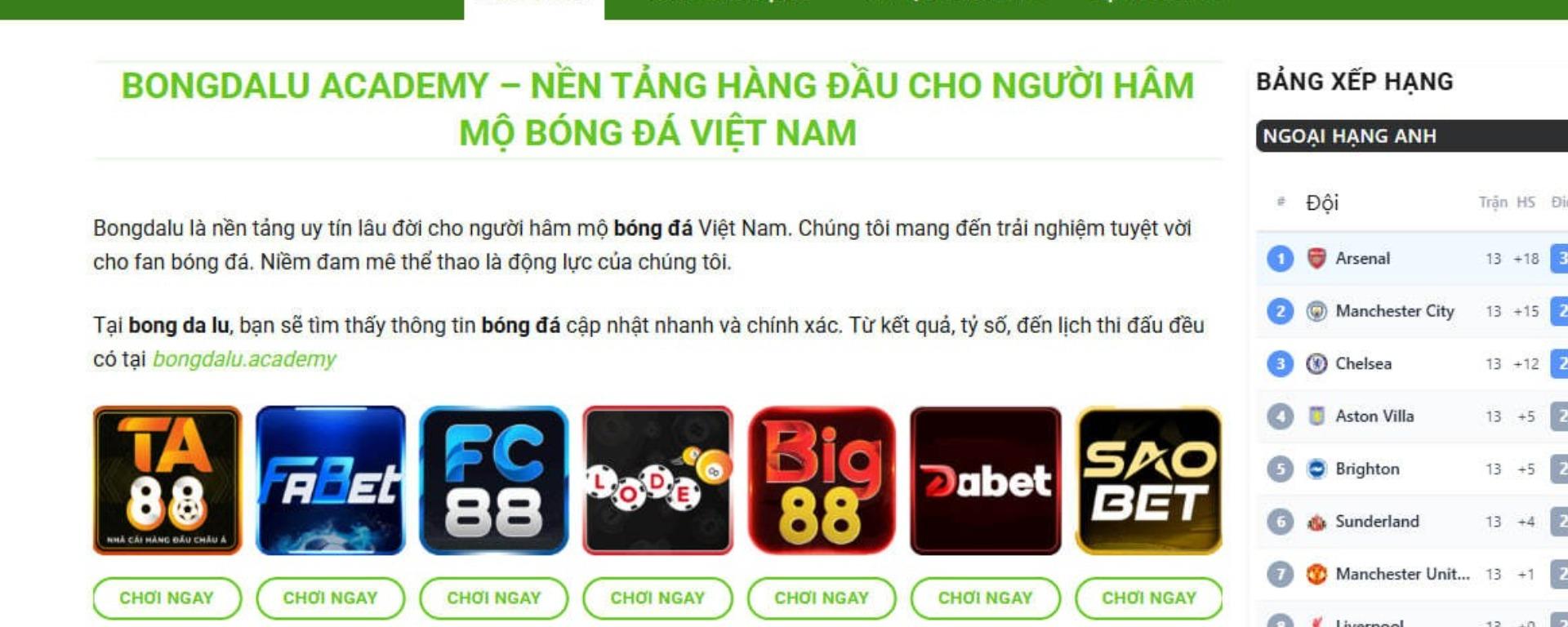 bongdaluacademy banner image