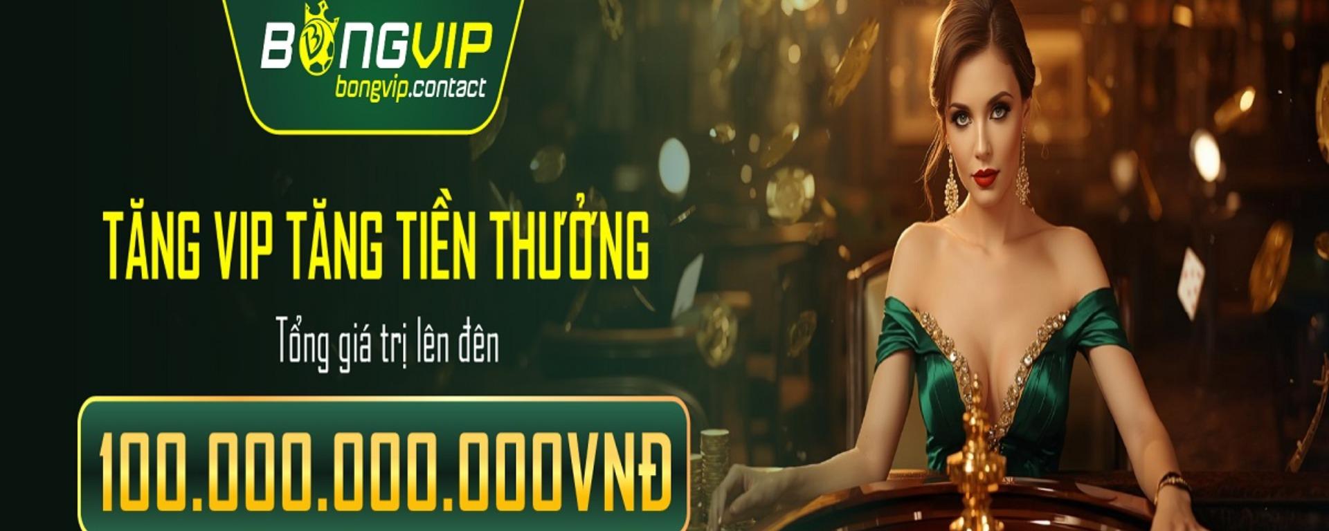 bongvipcontact banner image