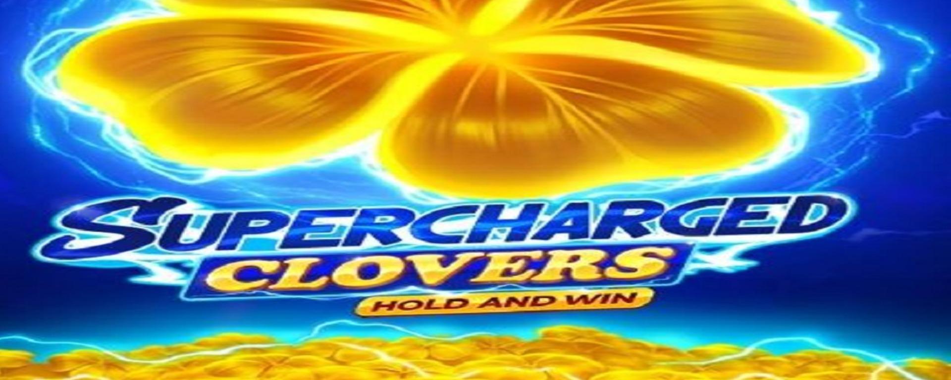 zzxxbetorg banner image