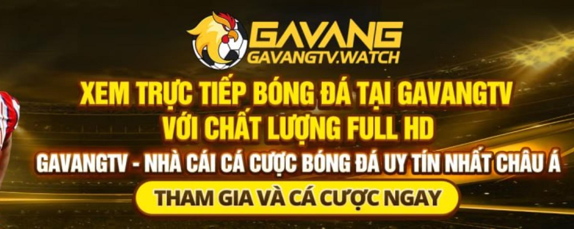 Scener - @gavangtvwatch